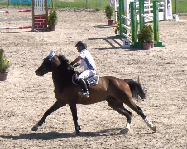 Reitturnier Gossau 2022