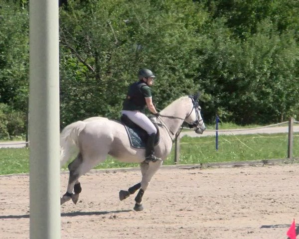 Reitturnier Gossau 2022