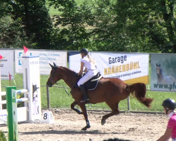 Reitturnier Gossau 2022