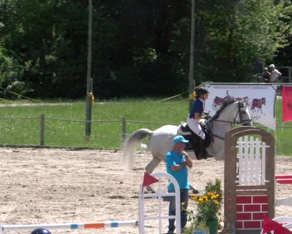 Reitturnier Gossau 2022