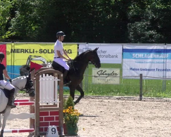 Reitturnier Gossau 2022