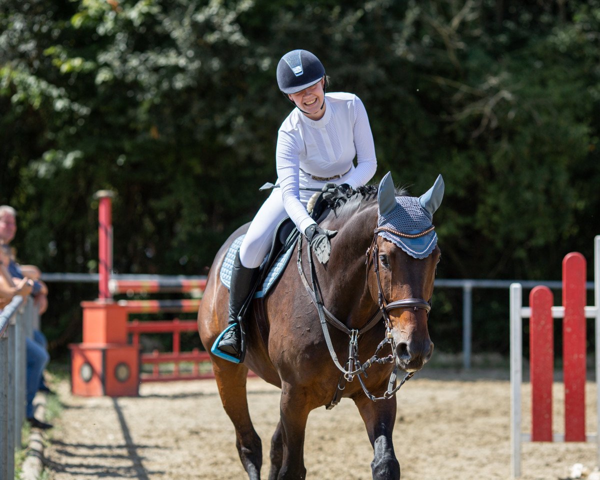 jumper Silber Mon (Württemberger, 2009, from Birkhof's Sirtaki)