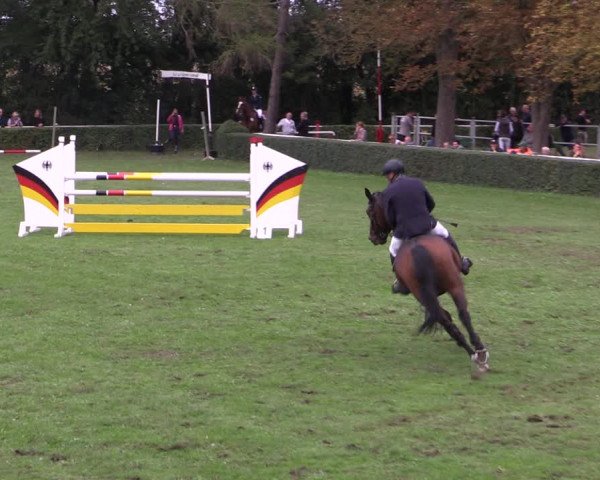 Reitturnier Westeregeln 2021