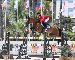 jumper Freiherr (KWPN (Royal Dutch Sporthorse), 2010, from Boss)
