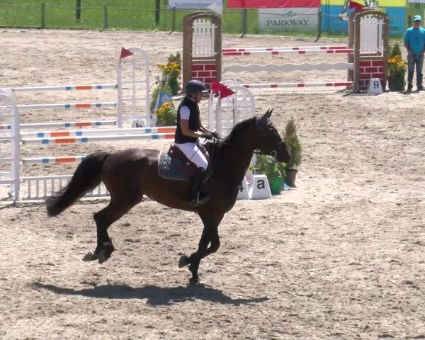 Reitturnier Gossau 2022