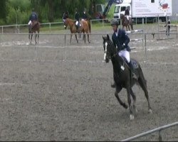 jumper Coporano (Danish Warmblood, 1996, from Corland)