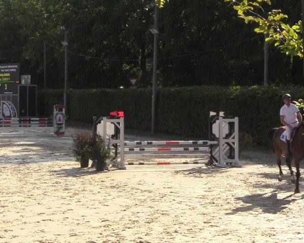 Reitturnier Olfen-Vinnum 2022