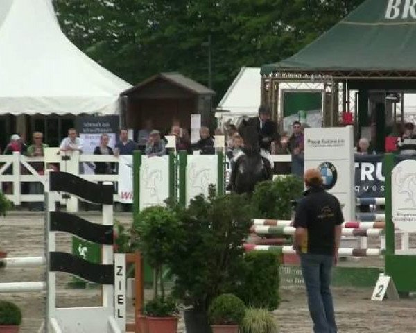 jumper Caretina Luminara (Westphalian, 2004, from Charisma)