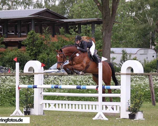 jumper carlos (Holsteiner, 2006, from Clearway)