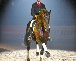 stallion Samba Hit I (Westphalian, 1998, from Sandro Hit)