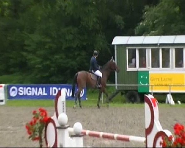 broodmare Landdame 17 (Oldenburg, 2001, from Lifestyle)