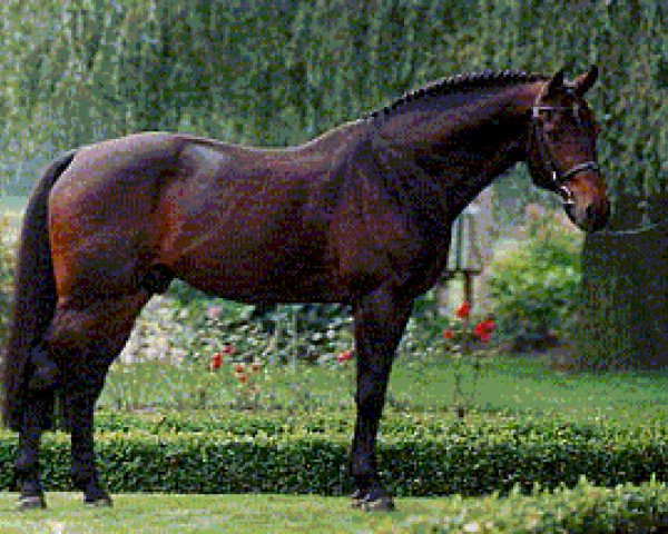 Deckhengst Libero H (Holsteiner, 1981, von Landgraf I)