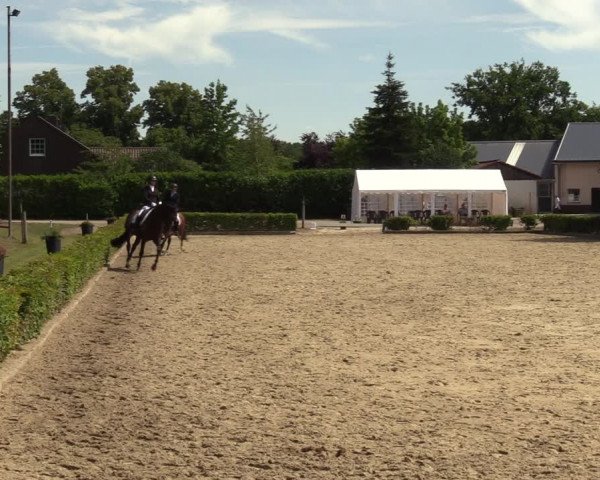 Reitturnier Olfen-Vinnum 2022