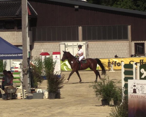 Reitturnier Olfen-Vinnum 2022