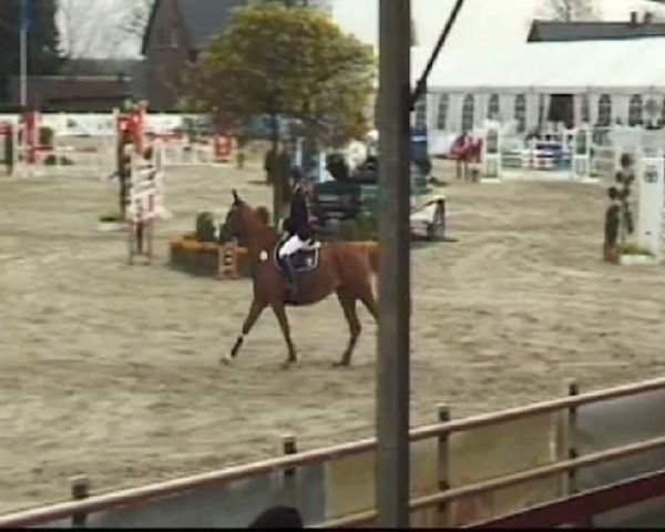 jumper Sally 572 (Hanoverian, 2004, from Stakkato)