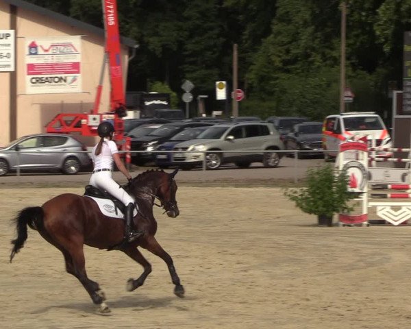 Reitturnier Olfen-Vinnum 2022