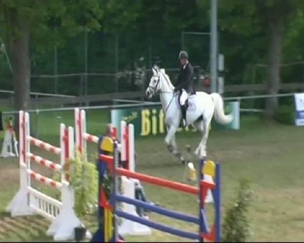 jumper Shine A Light VA (Hanoverian, 2003, from Chasseur I)