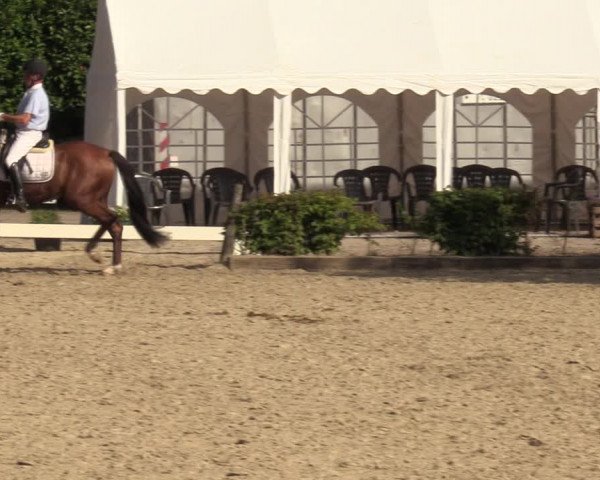 Reitturnier Olfen-Vinnum 2022
