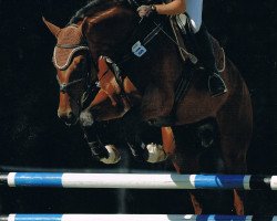 Caballo de salto Arezzo S (Bayer, 2001, de Argentinus)