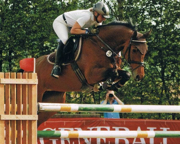 jumper Vandetta (Holsteiner, 2005, from Concreto 174 FIN)