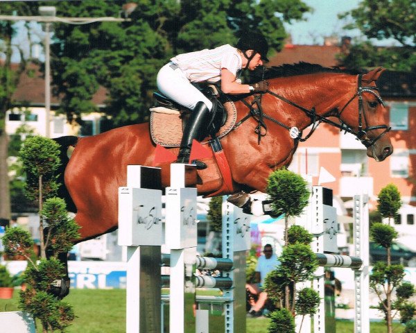 broodmare Chalita E (Westphalian, 2002, from Charakter)