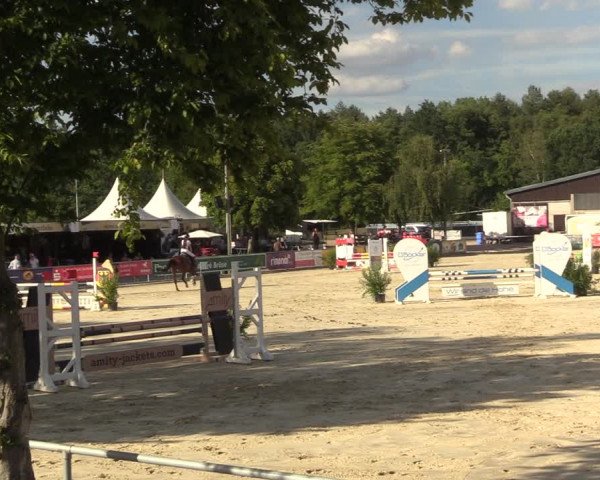 Reitturnier Olfen-Vinnum 2022