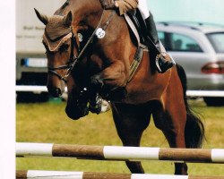 broodmare Charisma E 2 (Westphalian, 2006, from Concreto 174 FIN)