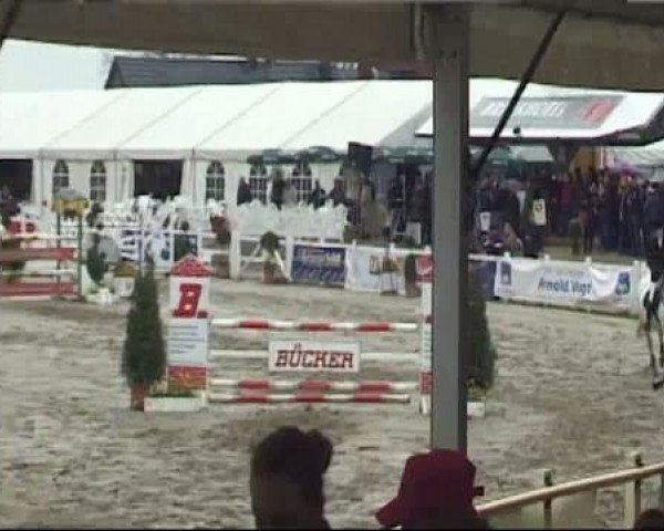 broodmare Clever Girl 6 (Holsteiner, 1999, from Calido I)