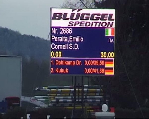 jumper Cornell S.D. (Westphalian, 2006, from Christiano) jumper Cornell S.D. (Westphalian, 2006, from Christiano)