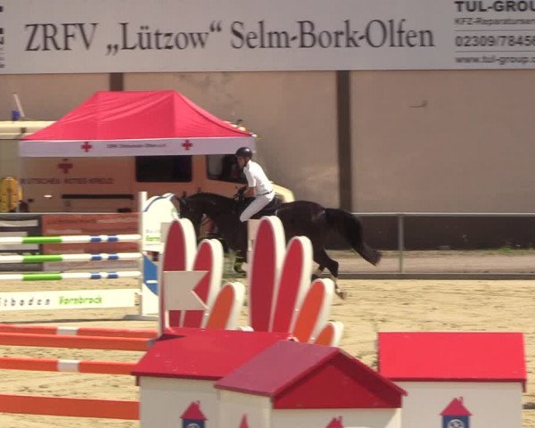 Reitturnier Olfen-Vinnum 2022