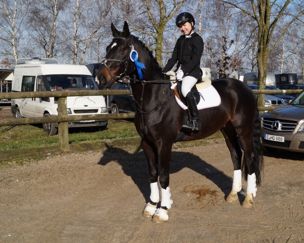 dressage horse Jägermeister 5 (Rhinelander, 2003, from Jacquare)