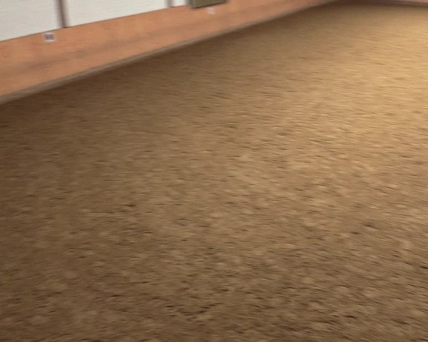Reitturnier Olfen-Vinnum 2022