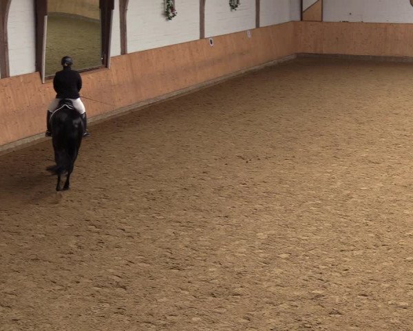 Reitturnier Olfen-Vinnum 2022