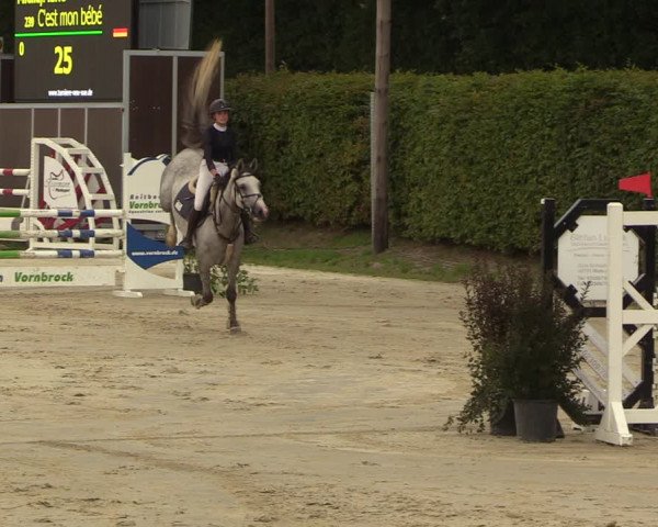 Reitturnier Olfen-Vinnum 2022