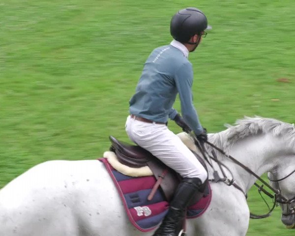 Reitturnier Waghäusel-Wiesental 2022