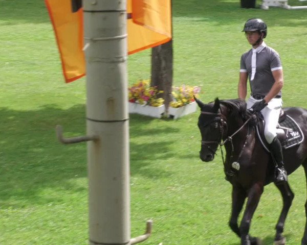 Reitturnier Waghäusel-Wiesental 2022