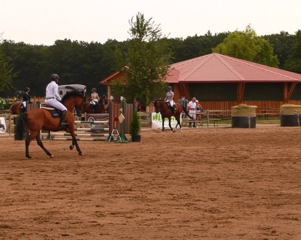 Reitturnier Altlandsberg 2022