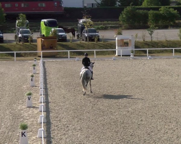 Reitturnier Bülach 2022