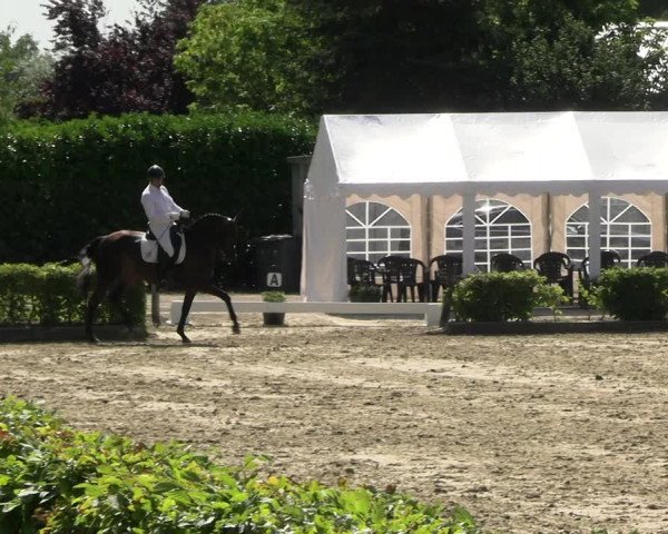 Reitturnier Olfen-Vinnum 2022