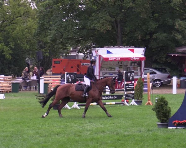 Reitturnier Hannover/Reiterstadion 2022