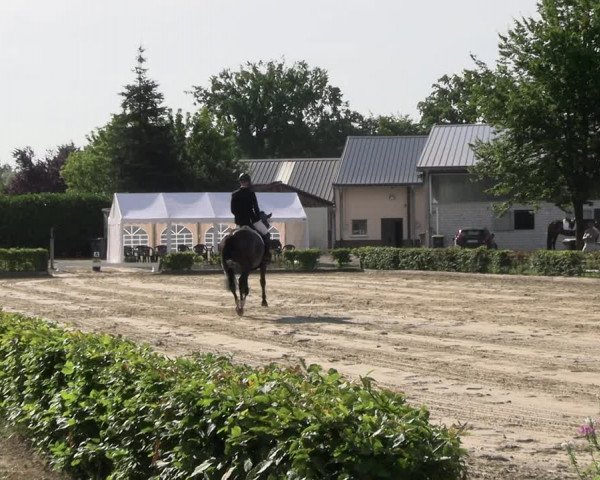 Reitturnier Olfen-Vinnum 2022