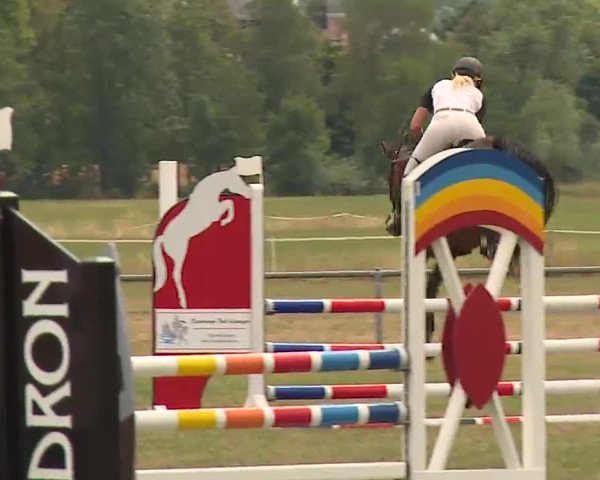 Reitturnier Bad Kissingen/Ufr. 2022