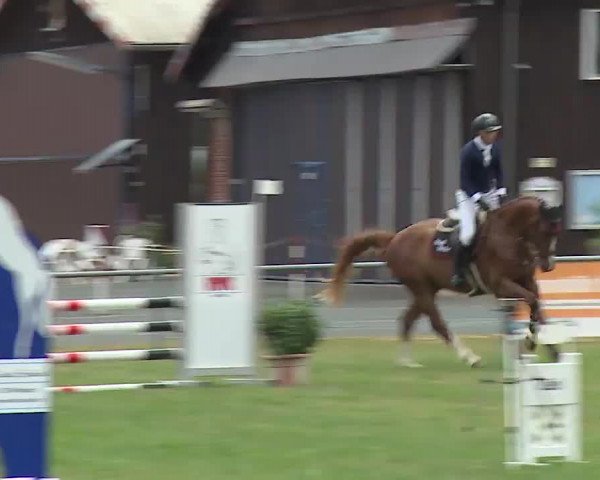 Reitturnier Bad Kissingen/Ufr. 2022