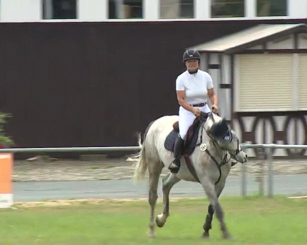 Reitturnier Bad Kissingen/Ufr. 2022