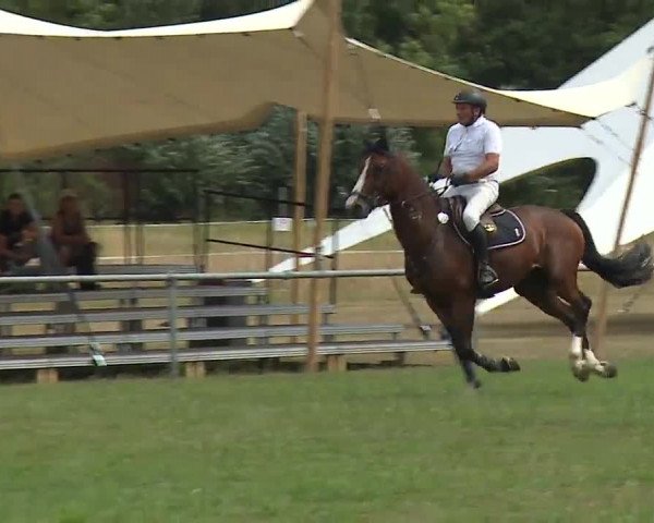 Reitturnier Bad Kissingen/Ufr. 2022