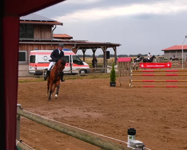 Reitturnier Altlandsberg 2022