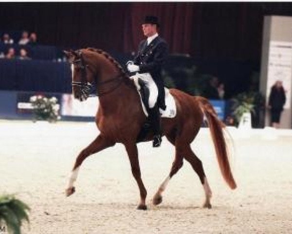 Dressurpferd Moedwil (KWPN (Niederländisches Warmblut), 1994, von Goodwill)