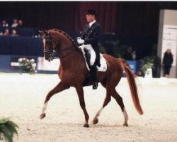 Dressurpferd Moedwil (KWPN (Niederländisches Warmblut), 1994, von Goodwill)