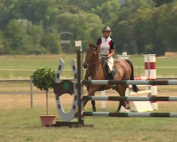 Reitturnier Bad Kissingen/Ufr. 2022