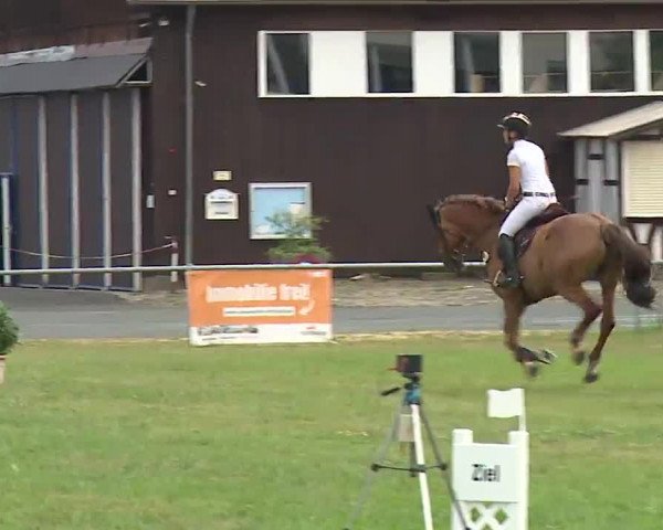 Reitturnier Bad Kissingen/Ufr. 2022